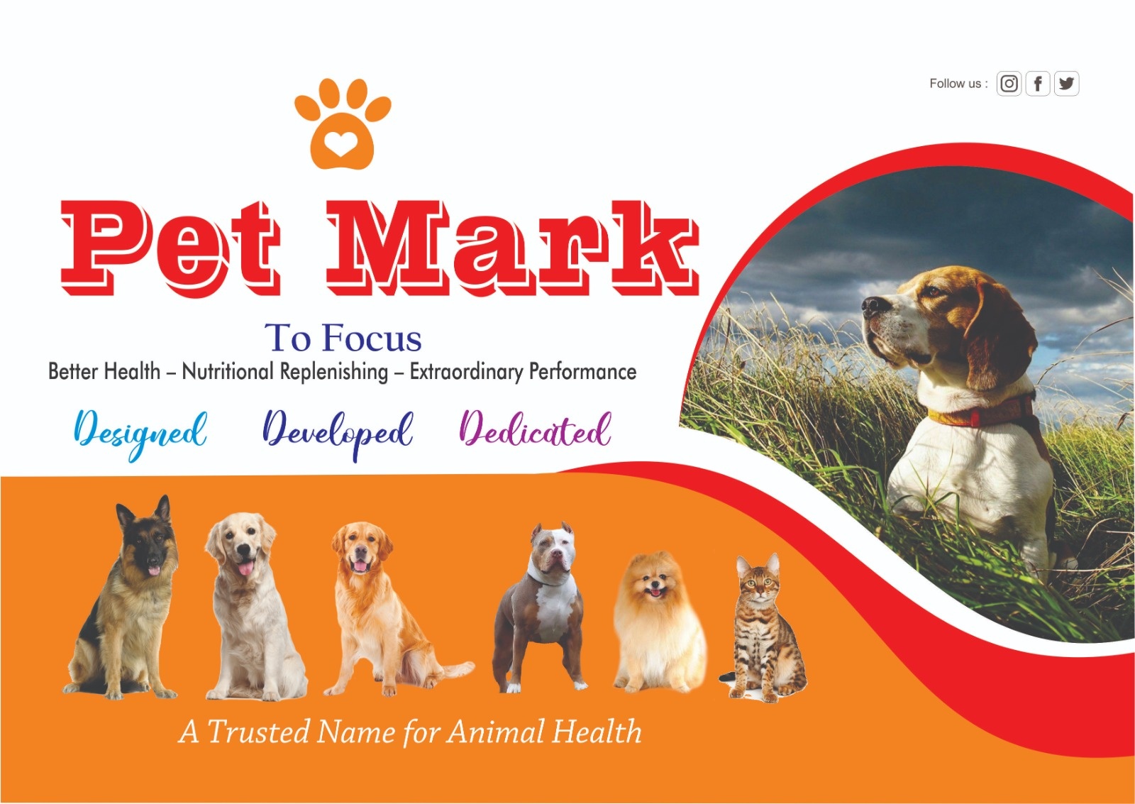Pet Mark Animals